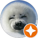 Sicu DinB profile picture